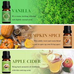 SALKING Apple Cider fragrance oil bottle for diffusers and seasonal room refresh.