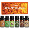 SALKING Autumn Fragrance Oils – Premium Fall Diffuser Set