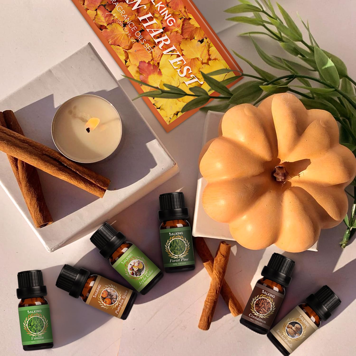 SALKING Forest Pine fragrance oil bottle for fresh forest-inspired air in diffusers.