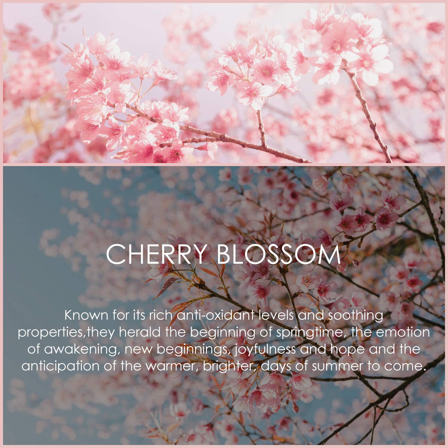 SALKING Cherry Blossom bottle front shows amber glass protecting fragrance.