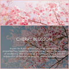 SALKING Cherry Blossom bottle front shows amber glass protecting fragrance.