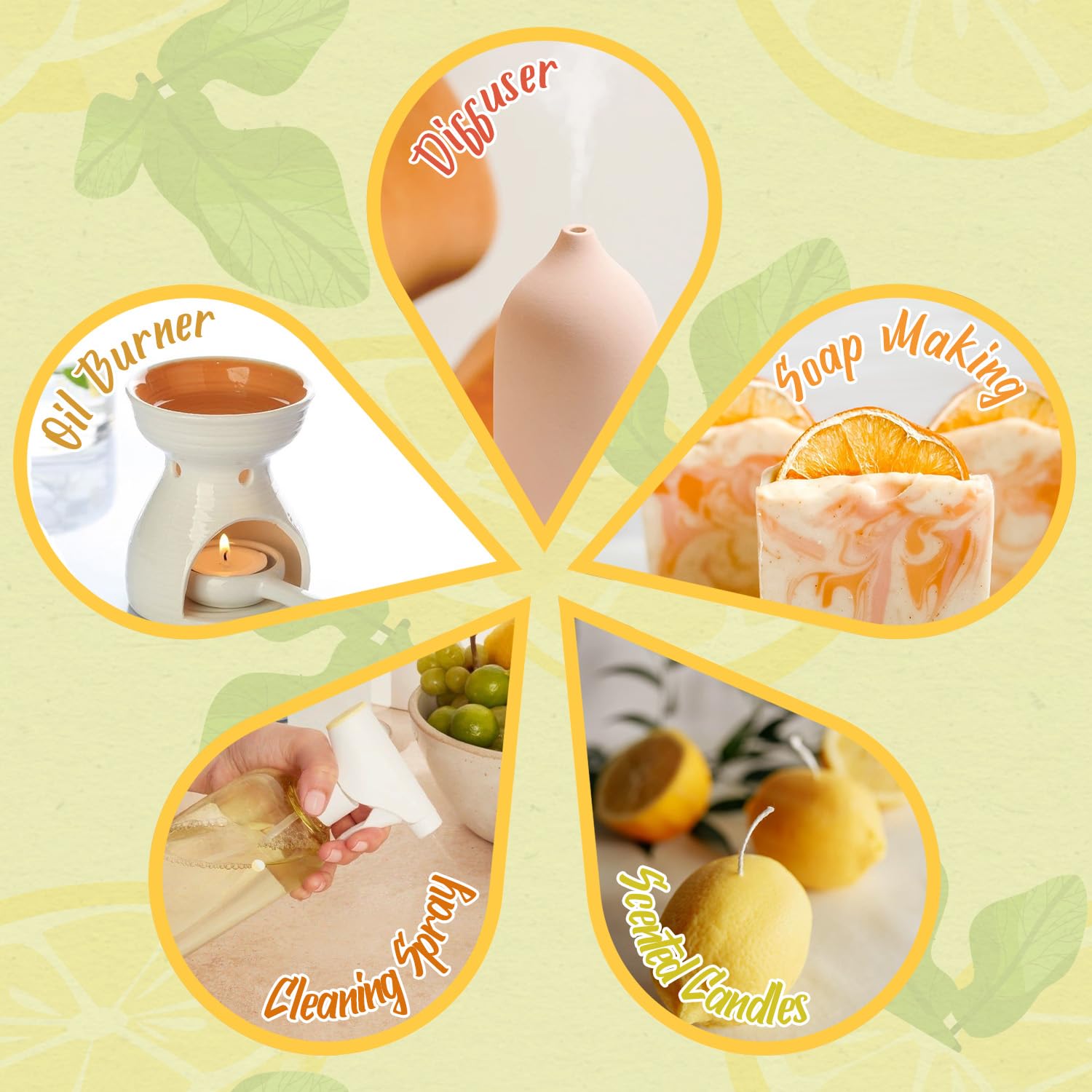 SALKING Citrus Burst collection box showcases six oils in a premium set.