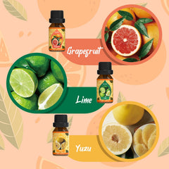 SALKING Citrus Burst Lemon oil enhances clean, zesty diffuser scents.
