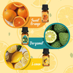 SALKING Citrus Burst Bergamot oil ideal for refreshing air in any room.