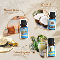 SALKING Coconut fragrance oil bottle for diffuser, brings tropical sweetness to any room.