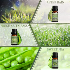 SALKING Sweet Pea fragrance oil bottle for spring diffuser scents