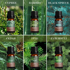 SALKING Woodsy oils set room spray offers natural freshness
