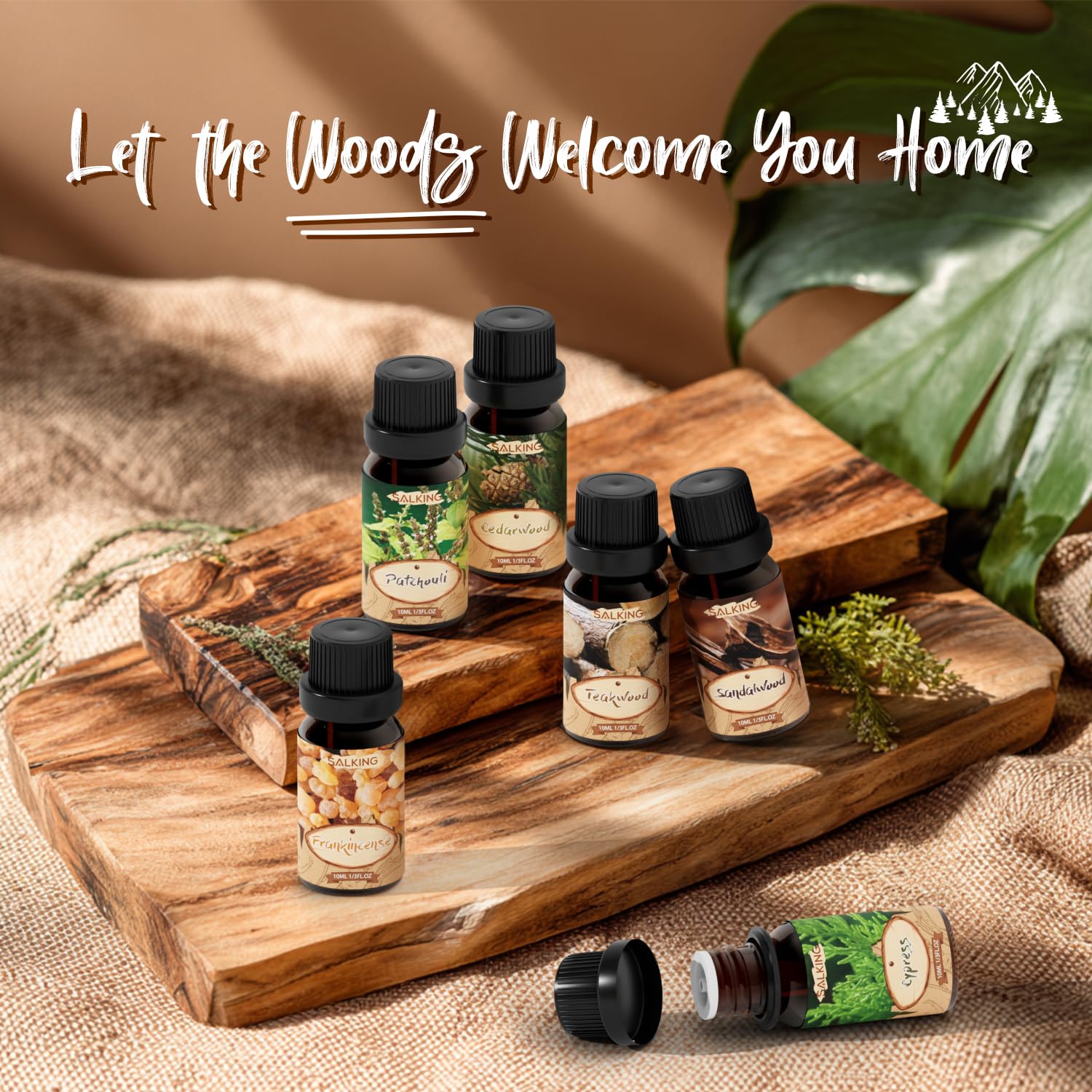 SALKING Woody set packaging image presents gift-ready presentation