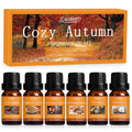 Salubrito Fall Fragrance Oils Set – 6x10ml Cinnamon, Pumpkin Spice, Vanilla, Snickerdoodle, Spiced Cider, Nutmeg