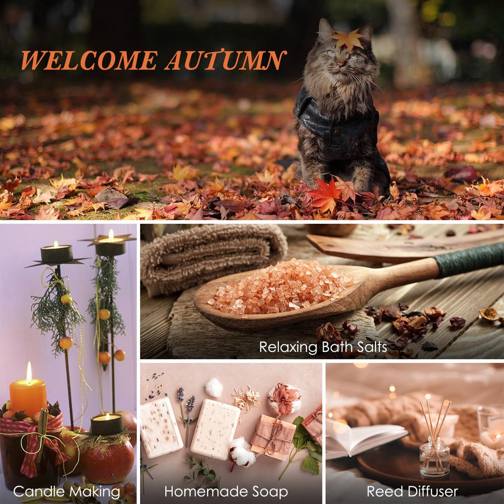 Salubrito aceites otoño nuez moscada: matiz especiado suave para ambientar espacios de lectura.