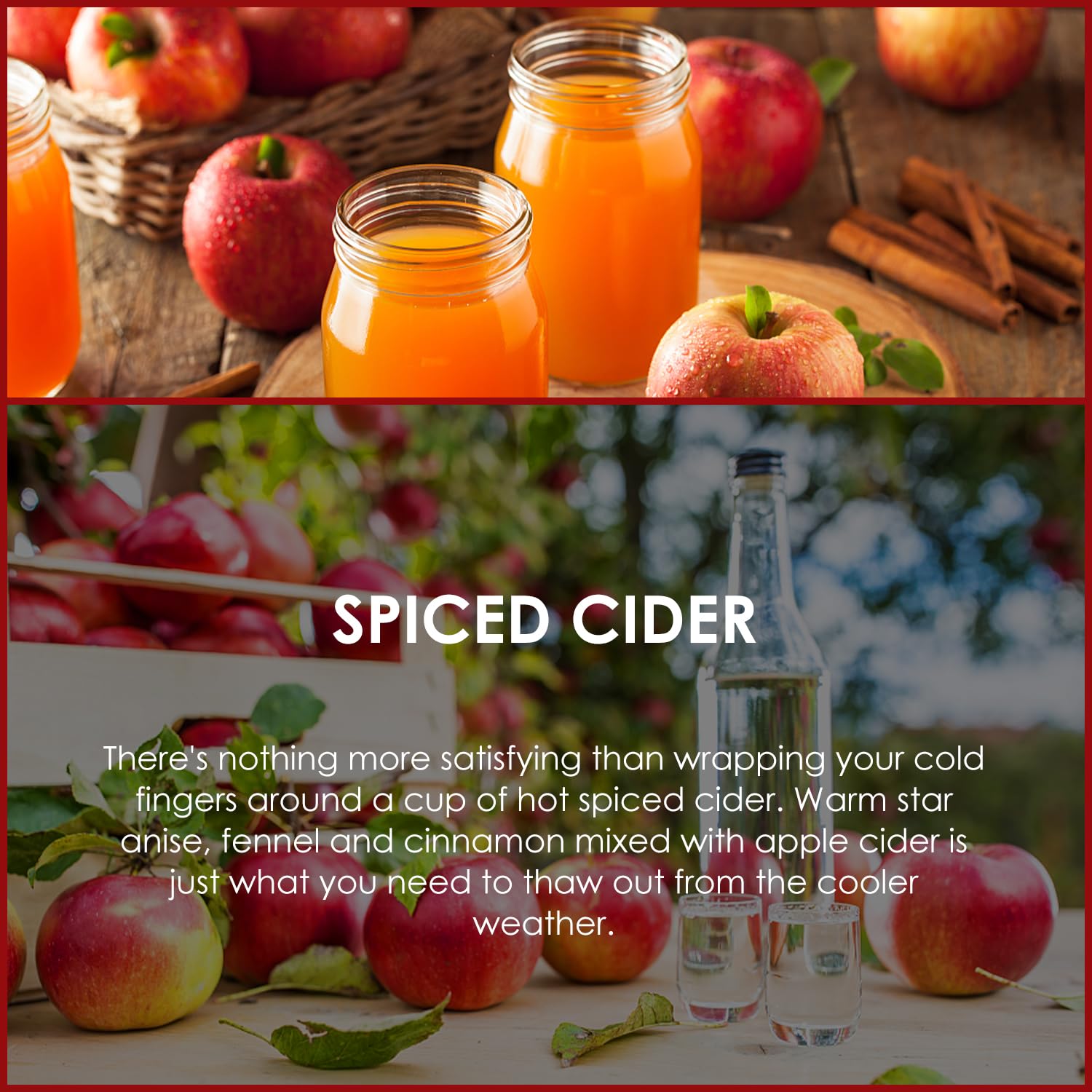 Salubrito Spiced Cider diffuser scene conveying warm autumn ambiance.