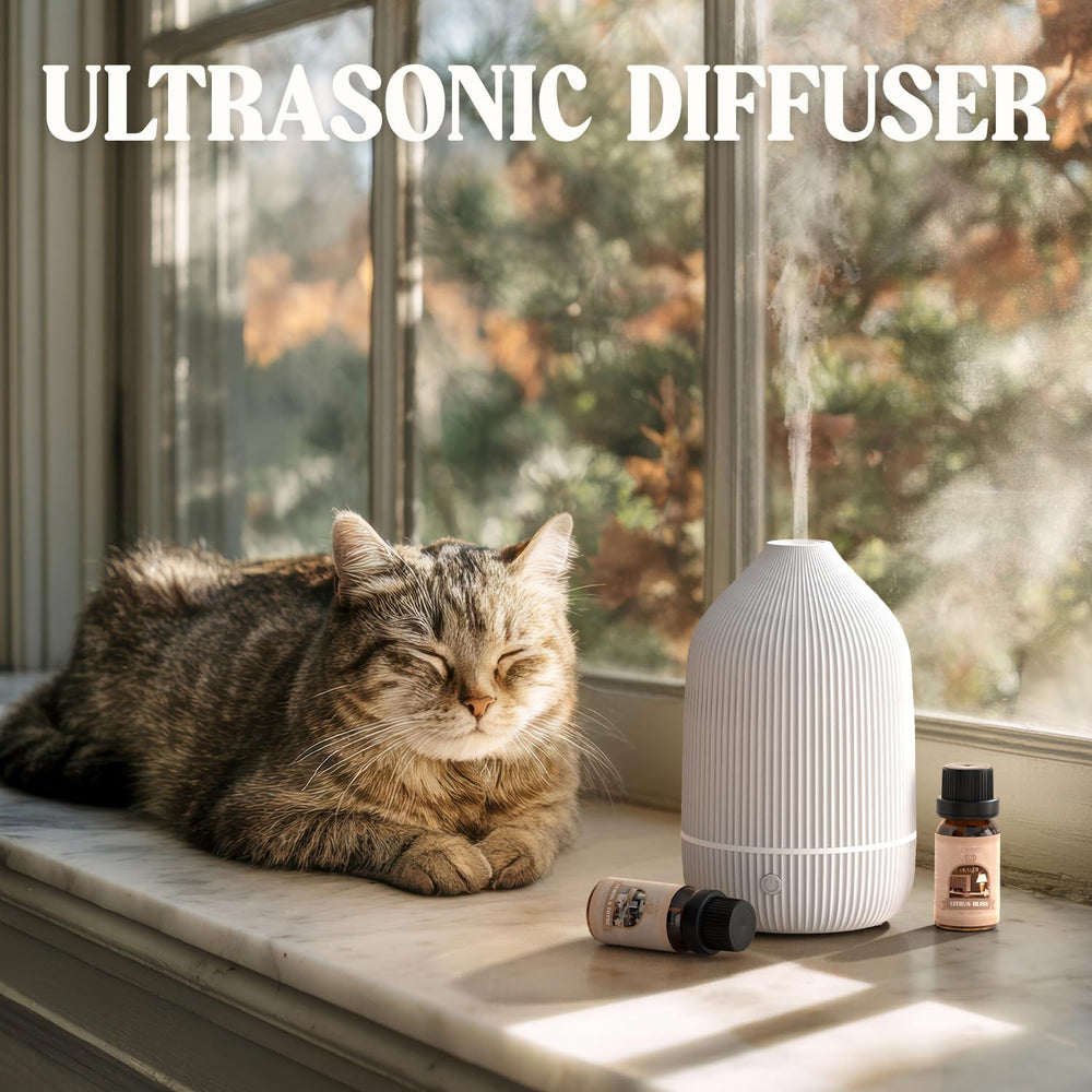 Salubrito white minimalist diffuser that blends with decor