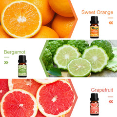 Salubrito coconut fragrance oil bottle for tropical mood diffusing