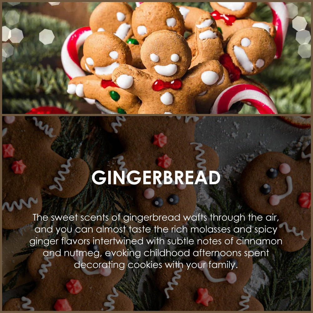 Salubrito Gingerbread diffuser showcasing warm spicy aroma