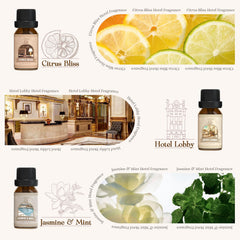 Salubrito Lemon & Thyme fragrance bottle lifts energy in rooms.
