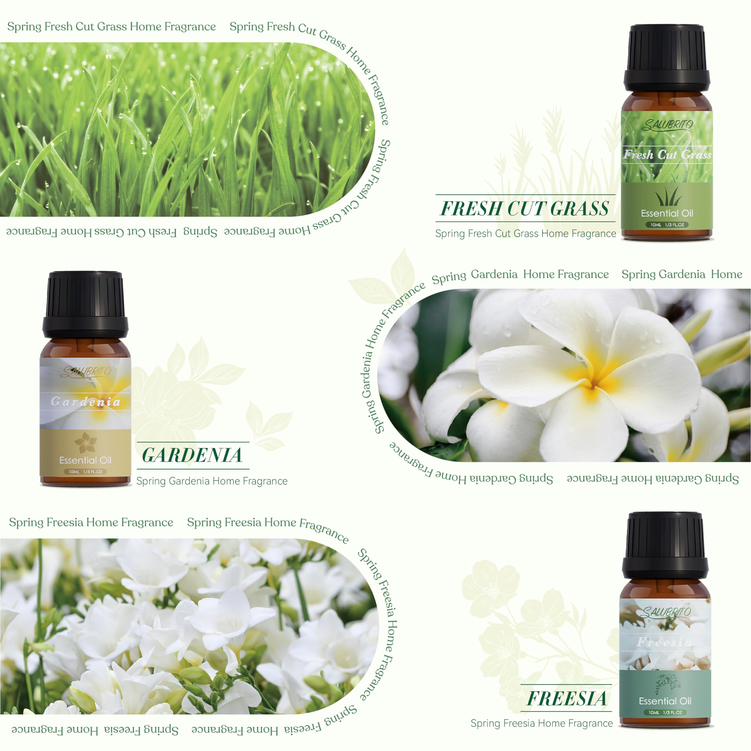 Salubrito ocean breeze fragrance oil creates uplifting coastal vibes