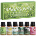 Salubrito Spring Fragrance Oils Set | Premium Essential Oils for Diffuser & DIY
