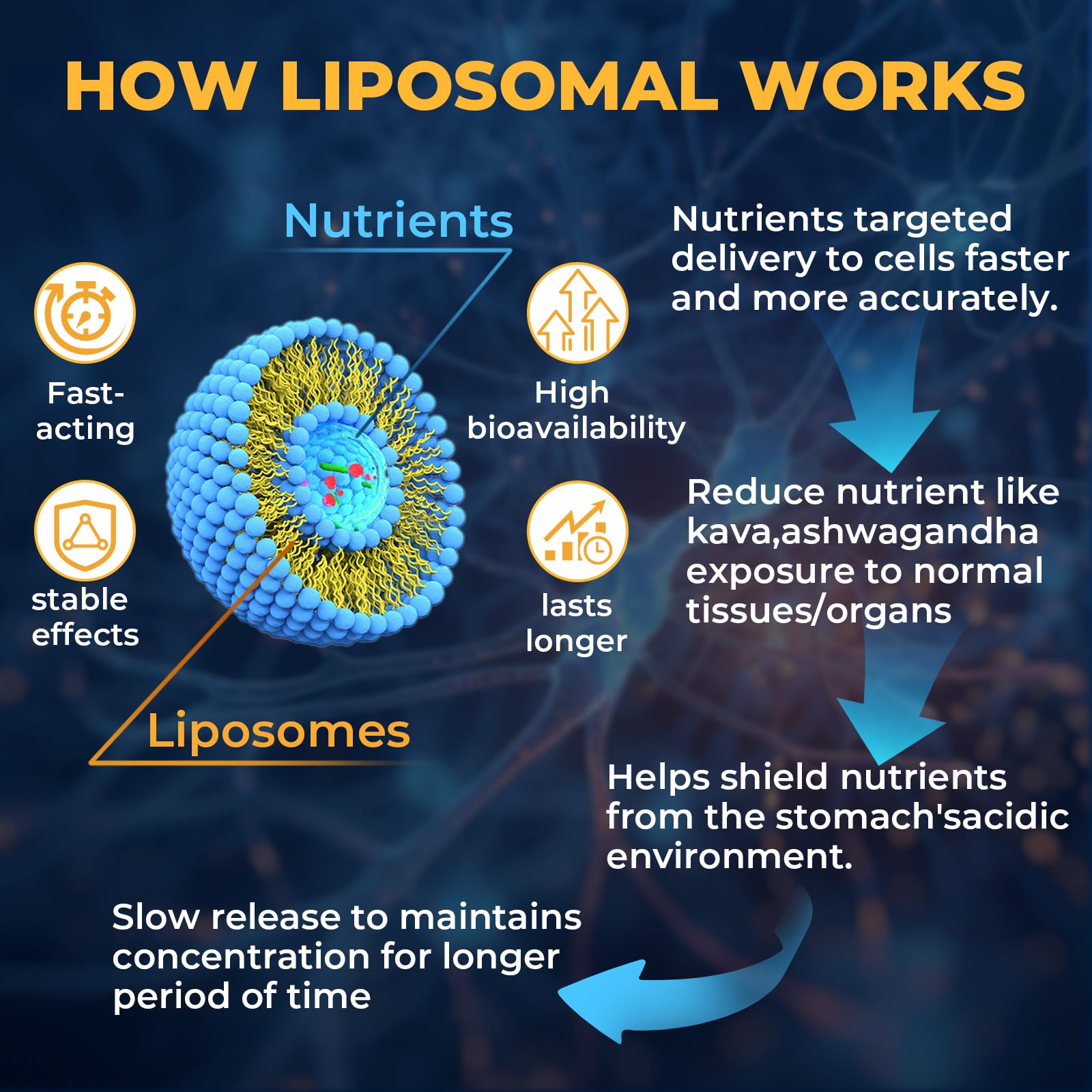 Samarogen liposome graphic illustrates enhanced bioavailability and faster action.