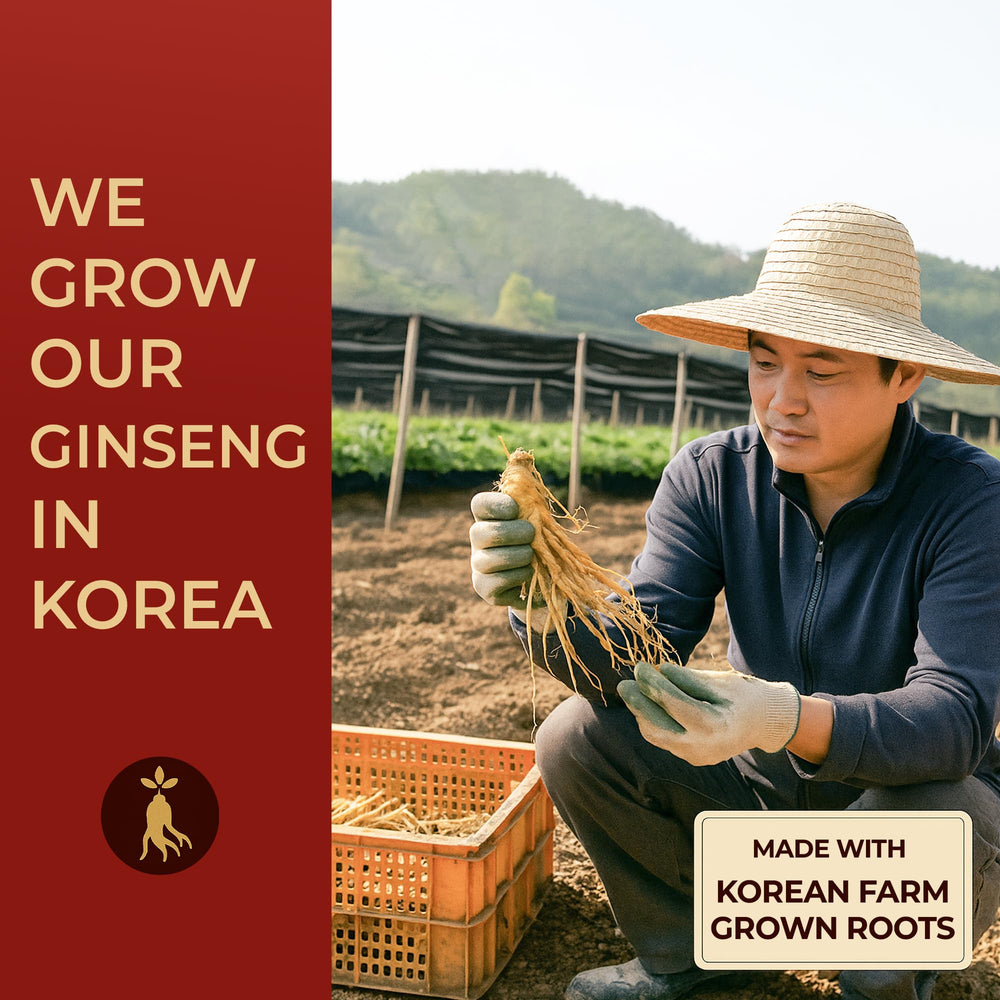 SAMSIDAE ginger and ginseng roots showcase natural ingredients.