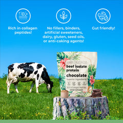 Santa Cruz Paleo dairy-free gluten-free keto friendly protein