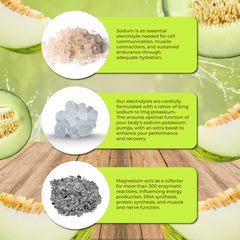 Pouring Santa Cruz Paleo Electrolyte Powder honeydew into glass for cooling hydration