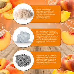 Santa Cruz Paleo Electrolyte Powder Peach glass highlights refreshing hydration after workouts.