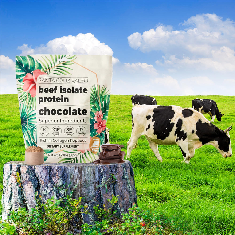 Santa Cruz Paleo low-calorie clean ingredients for easy digestion
