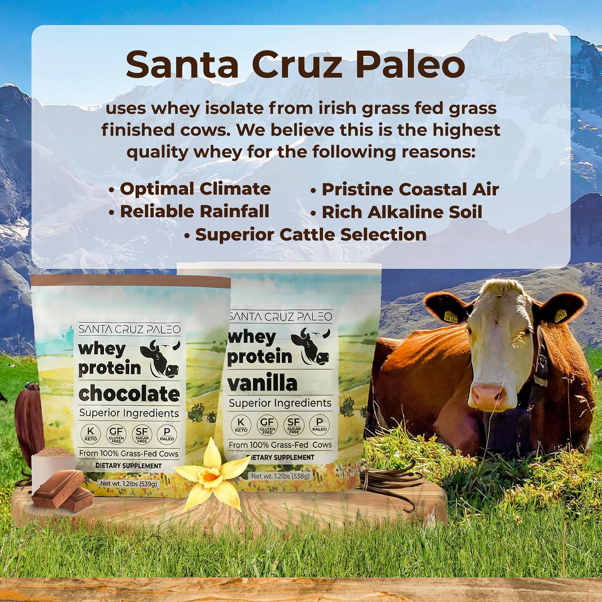 Santa Cruz Paleo whey chocolate scoop measuring powder for quick shakes.