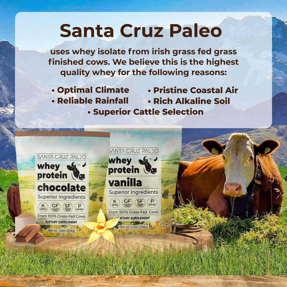Santa Cruz Paleo whey chocolate scoop measuring powder for quick shakes.