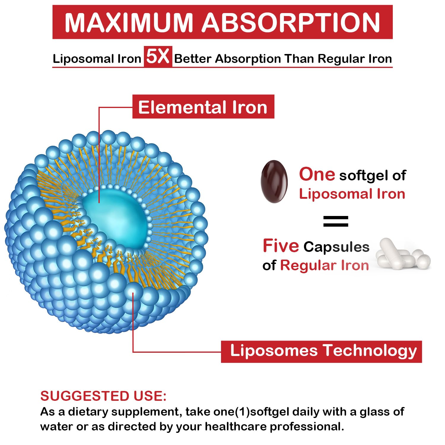 Sapotax Liposomal Iron ingredients glass bottle highlighting iron, folic acid, B12.