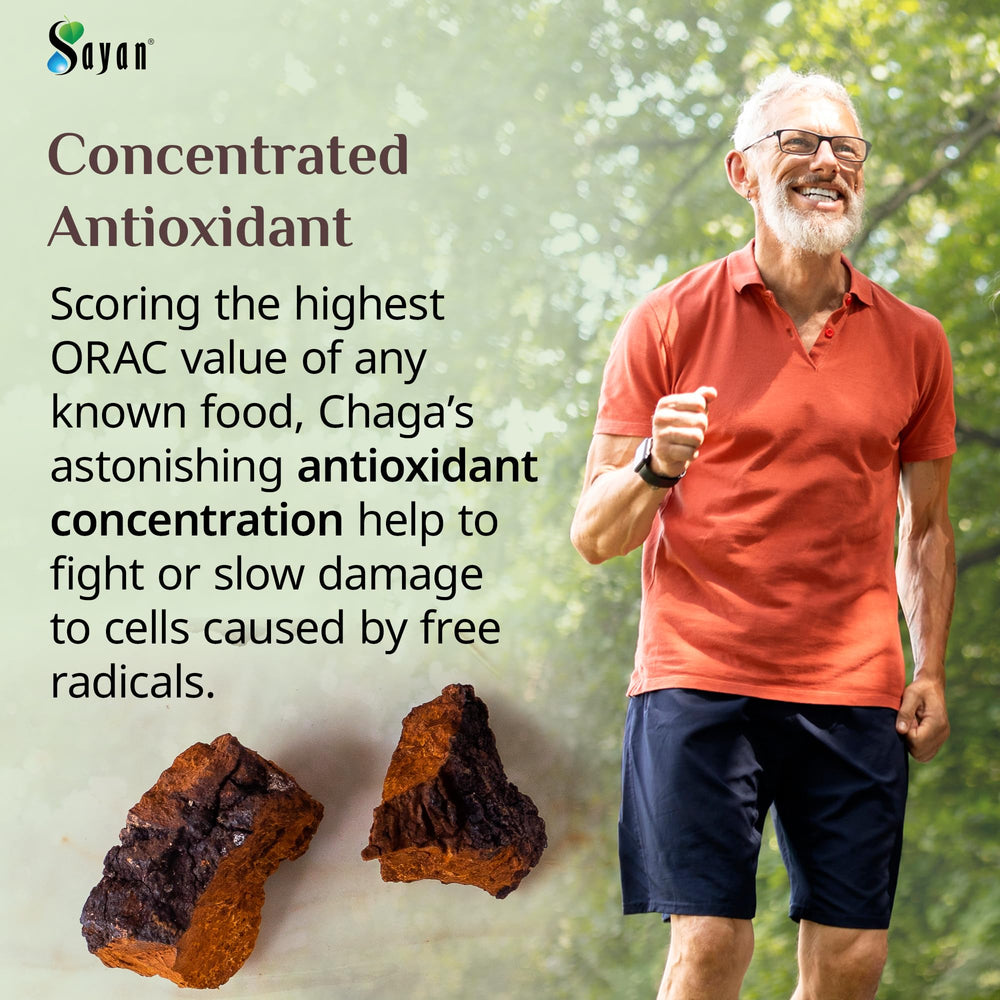Sayan Siberian Chaga is rich in antioxidants for daily wellness rituals