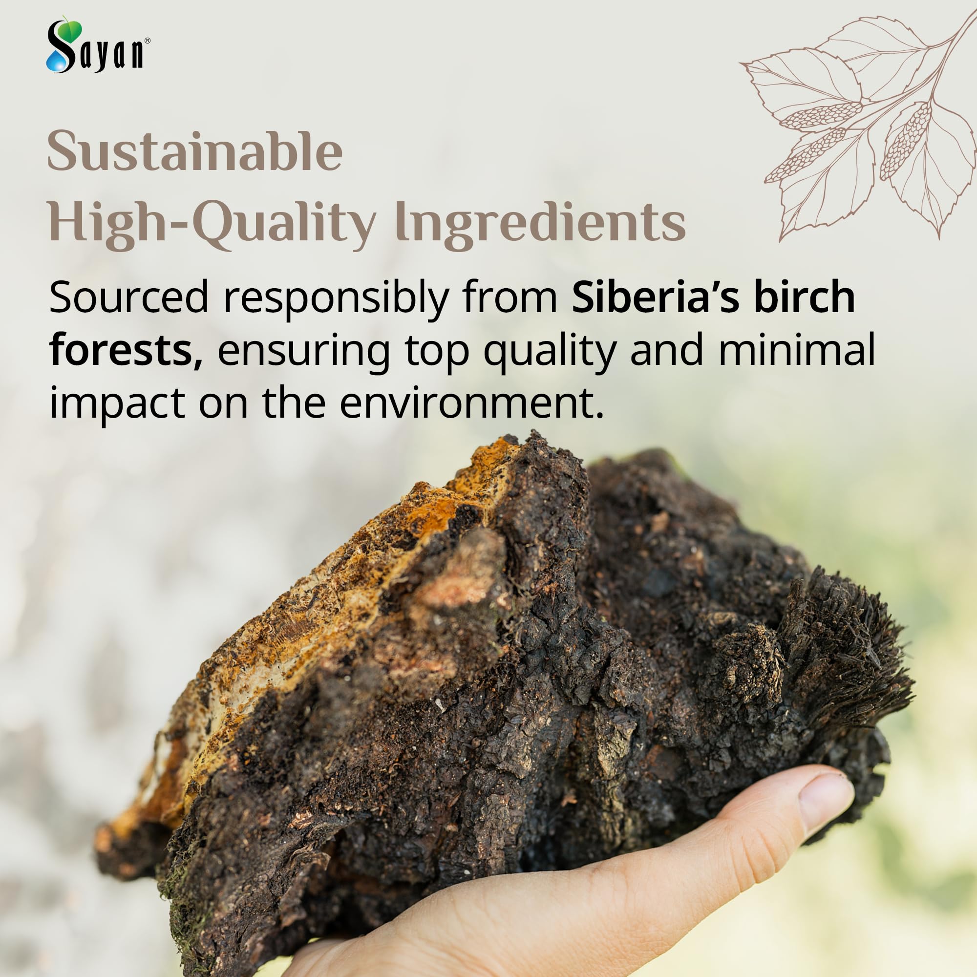 Sayan Siberian Chaga chunks support digestion and nutrient absorption when brewed