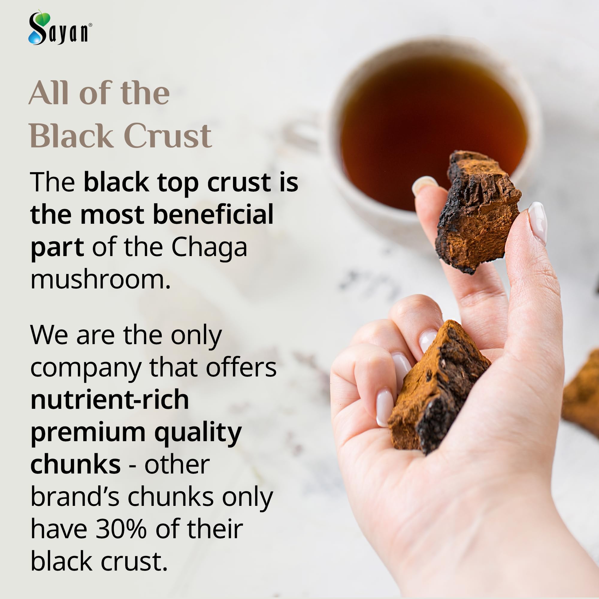 Sayan Siberian Chaga chunks dried to 14 percent humidity for freshness