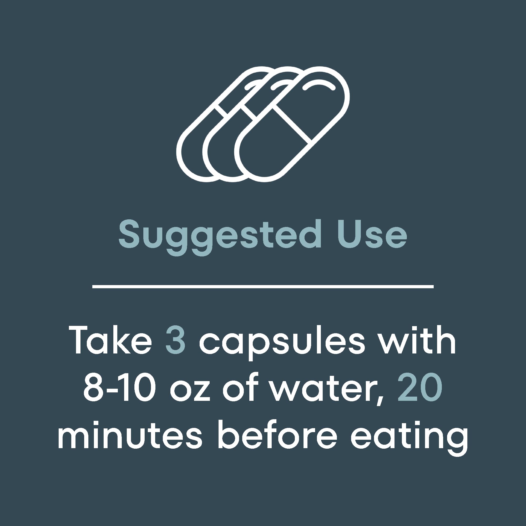 Scale Nutrition Gain creatine monohydrate depiction highlights strength and muscle growth potential.