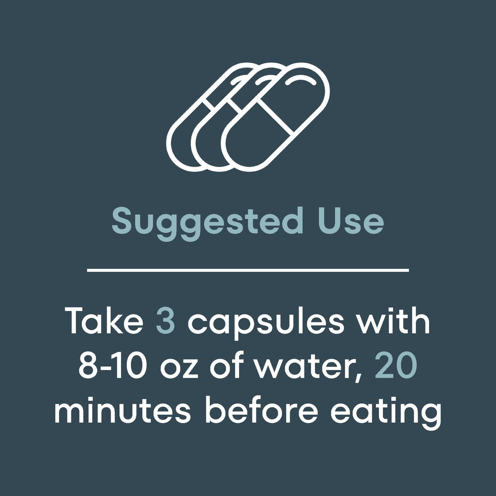 Scale Nutrition Gain creatine monohydrate depiction highlights strength and muscle growth potential.