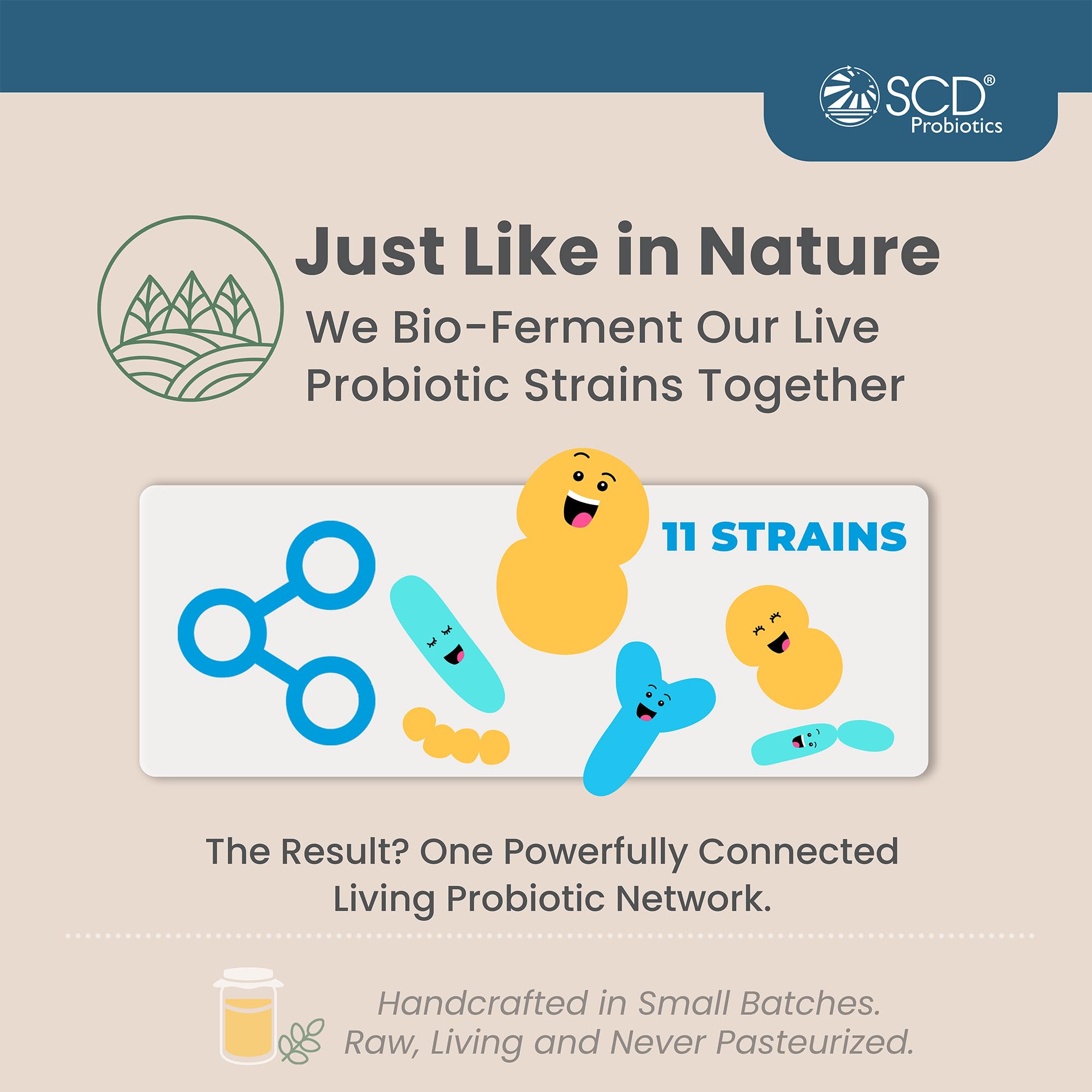 SCD Probiotics adult tablespoon serving ready to stir into beverage
