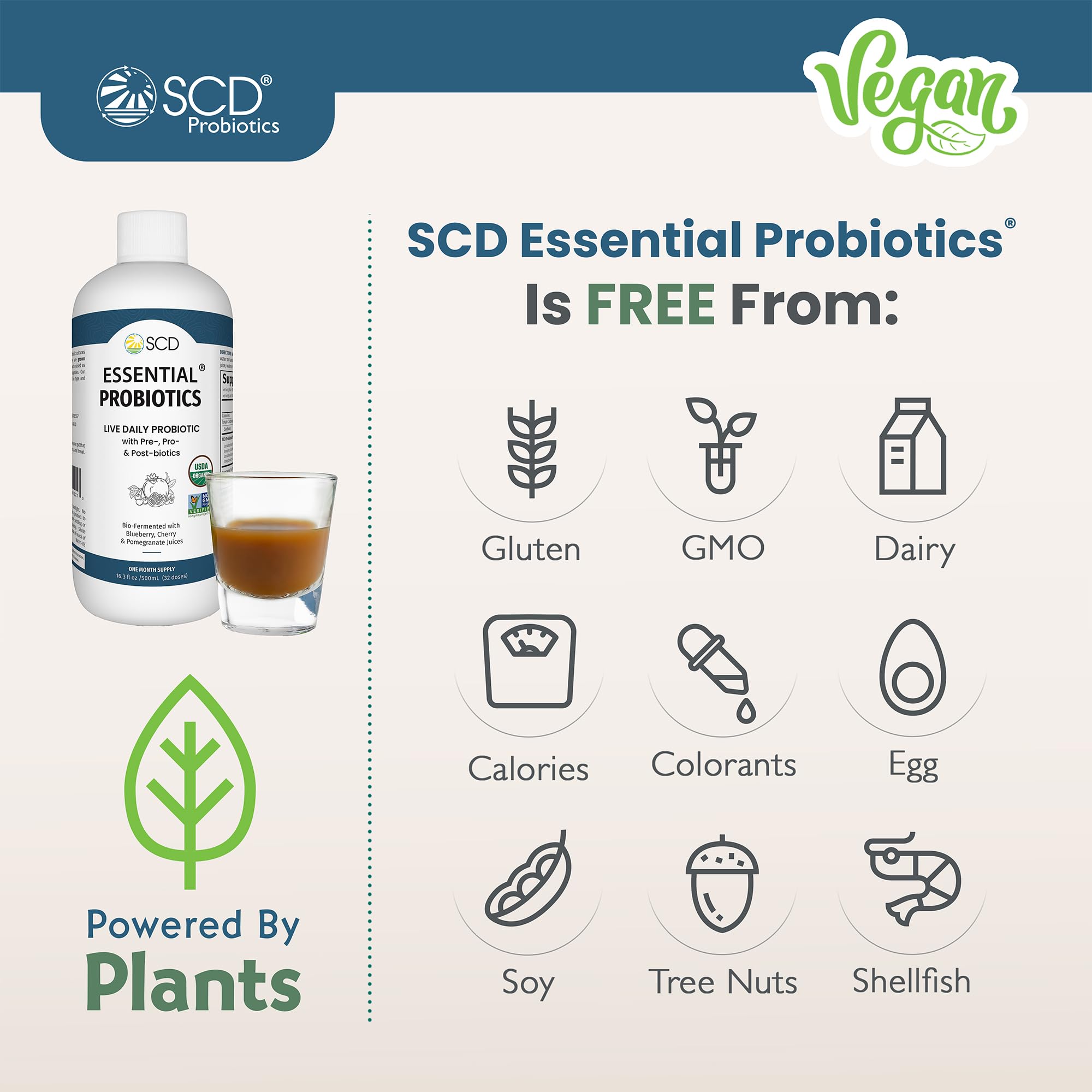 SCD Probiotics concept image illustrating gut health benefits and balance