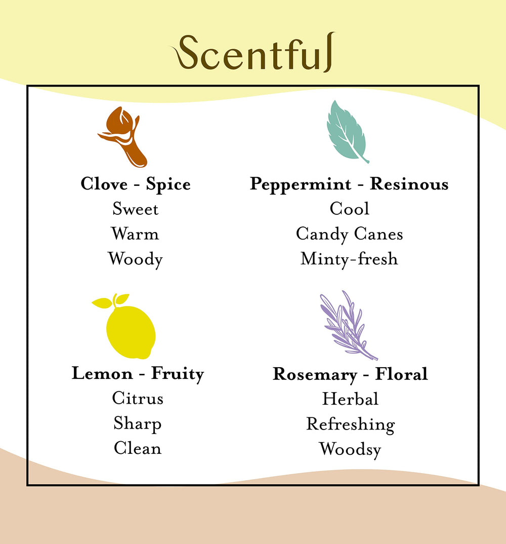 Scentful clove oil delivers warm, familiar scents during daily practice.
