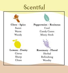 Scentful clove oil delivers warm, familiar scents during daily practice.