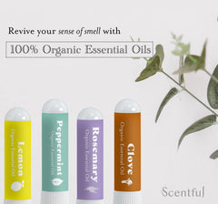 Scentful peppermint oil for refreshing aroma retraining sessions.