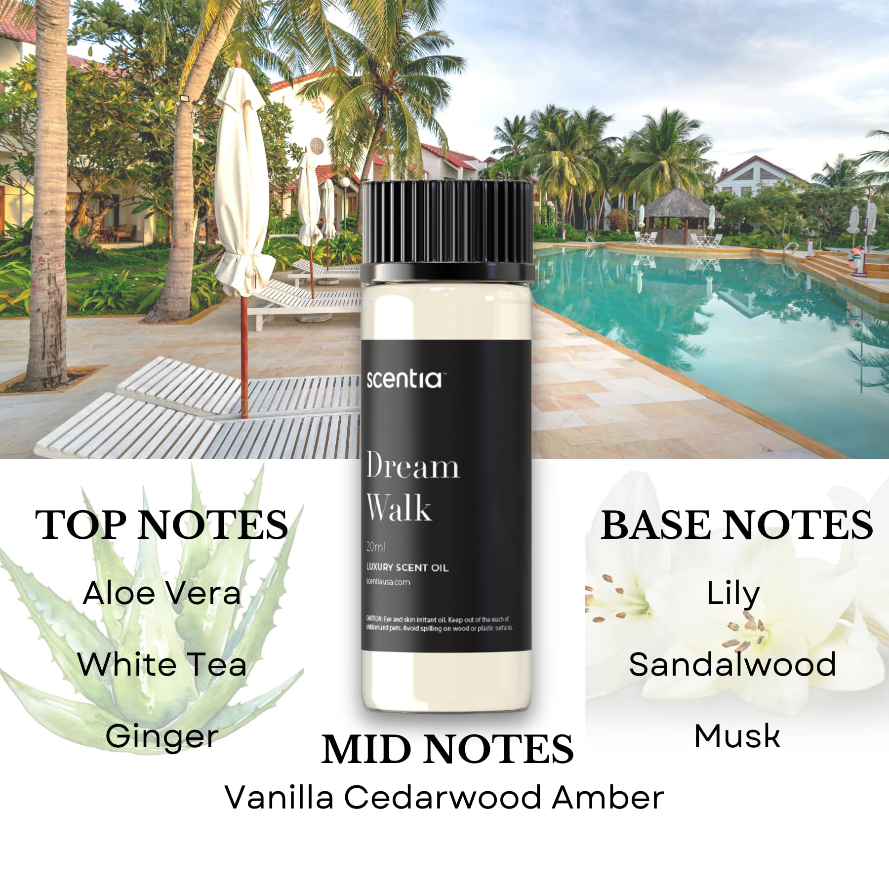Scentia Dream Walk bottle notes of white tea and vanilla create calm