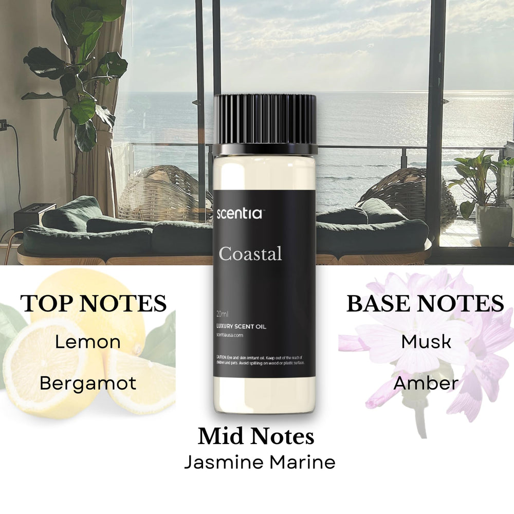 Scentia In-room ambiance shot demonstrates hotel-like atmosphere creation