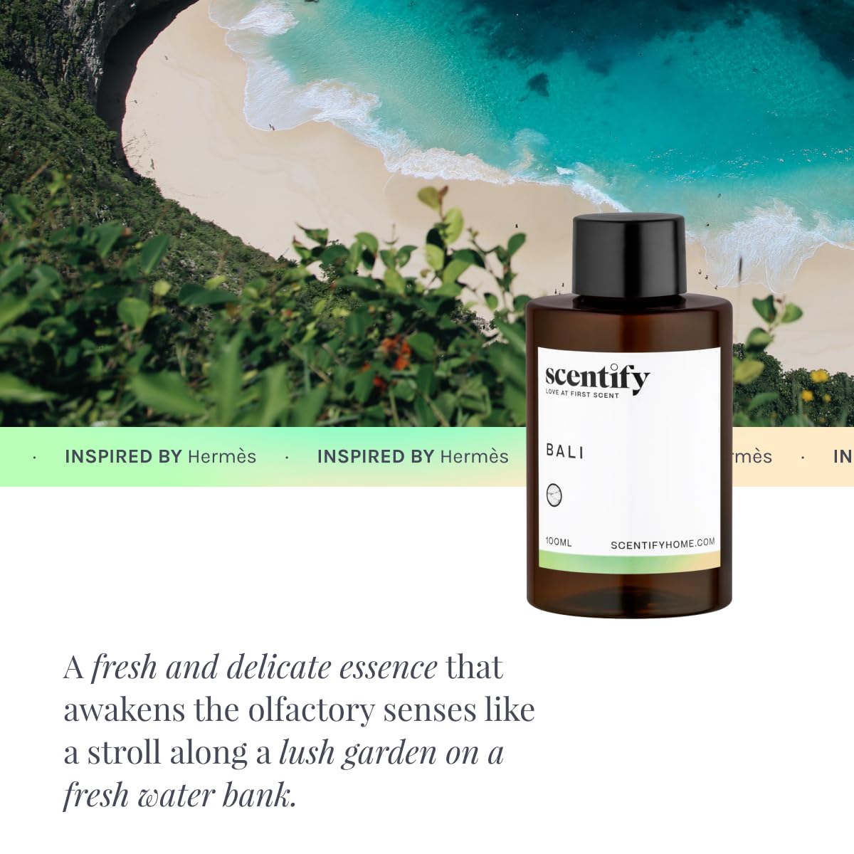 Scentify Bali musk diffuser refill delivering luxurious warmth.