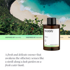Scentify Bali musk diffuser refill delivering luxurious warmth.