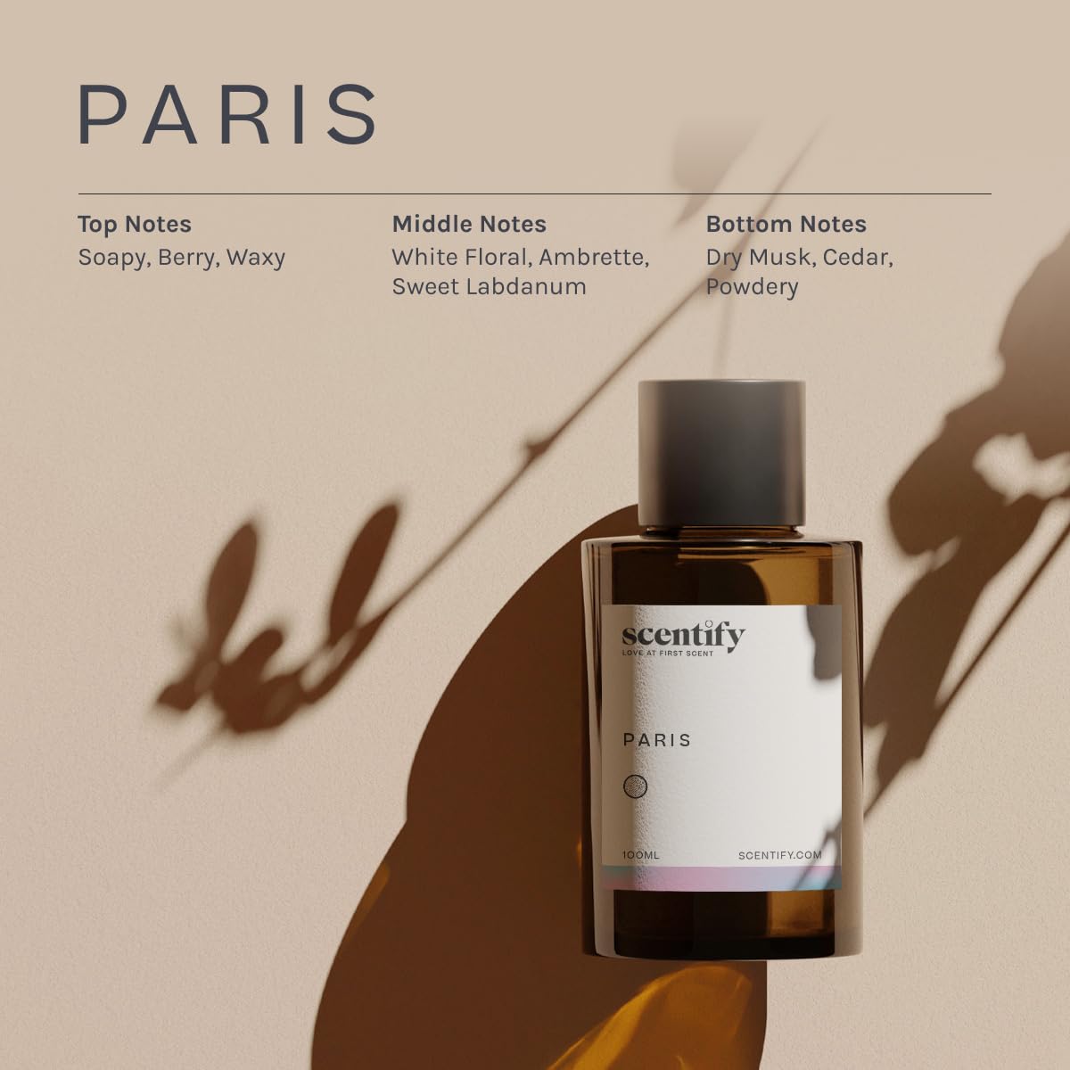 Scentify Paris aroma oil label close-up highlighting elegant packaging