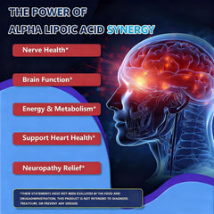 SCIBALIA ALA ingredients panel showing Benfotiamine and Acetyl-L-Carnitine for nutrient synergy