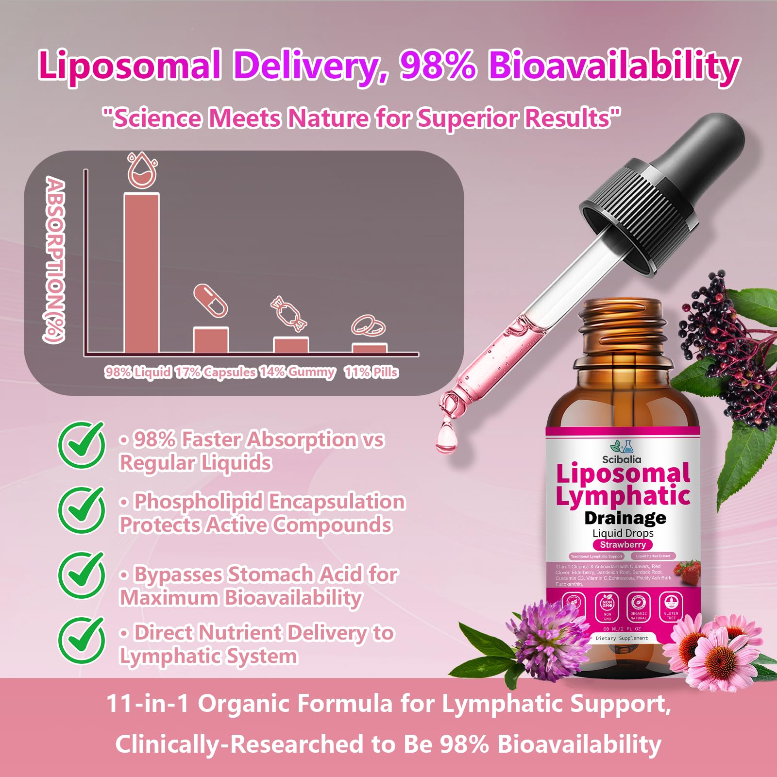 Ingredient panel on Scibalia Drops highlighting immune-support herbs and liposomal delivery
