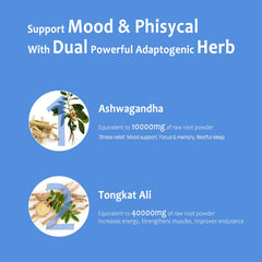 SciVital capsules close-up highlighting the high-potency blend for mood support
