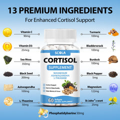 SCOLA vitamin C boost highlighting immune-support aspect.