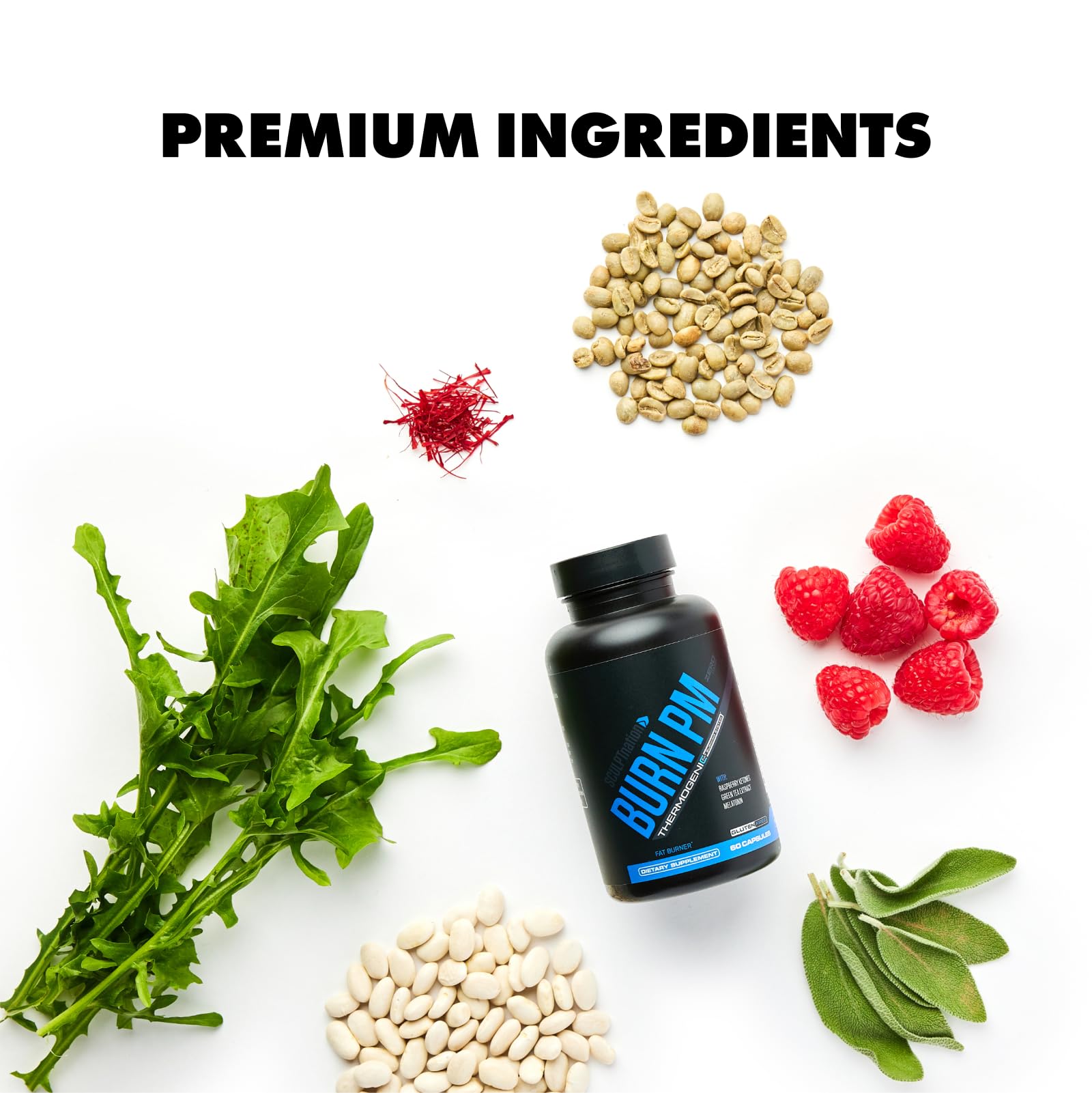 Sculpt Nation Burn PM ingredients raspberry ketones illustration